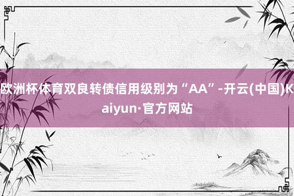 欧洲杯体育双良转债信用级别为“AA”-开云(中国)Kaiyun·官方网站