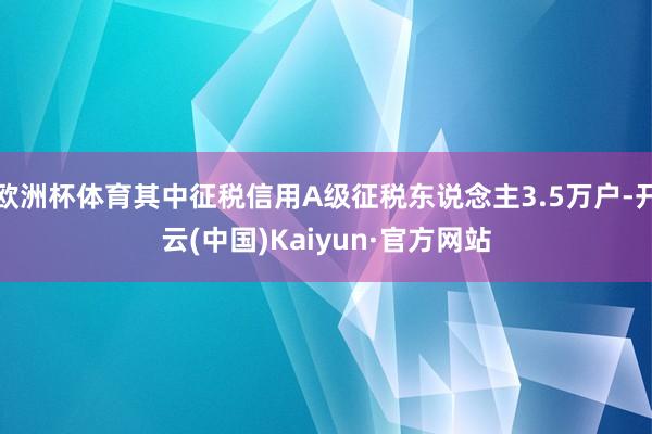 欧洲杯体育其中征税信用A级征税东说念主3.5万户-开云(中国)Kaiyun·官方网站