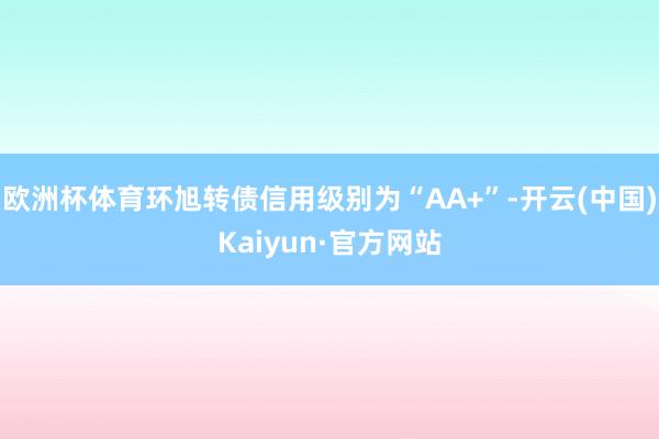 欧洲杯体育环旭转债信用级别为“AA+”-开云(中国)Kaiyun·官方网站