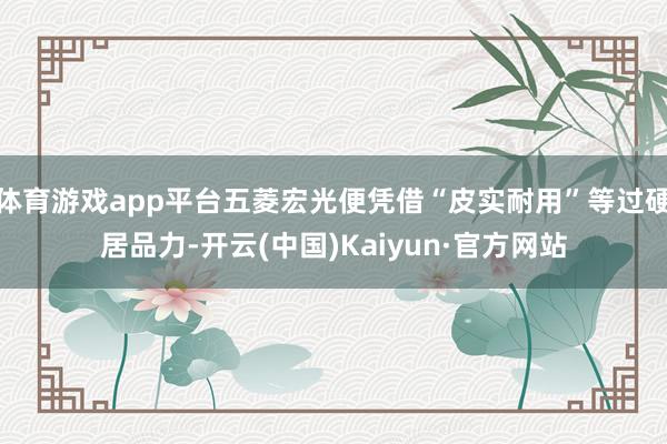 体育游戏app平台五菱宏光便凭借“皮实耐用”等过硬居品力-开云(中国)Kaiyun·官方网站