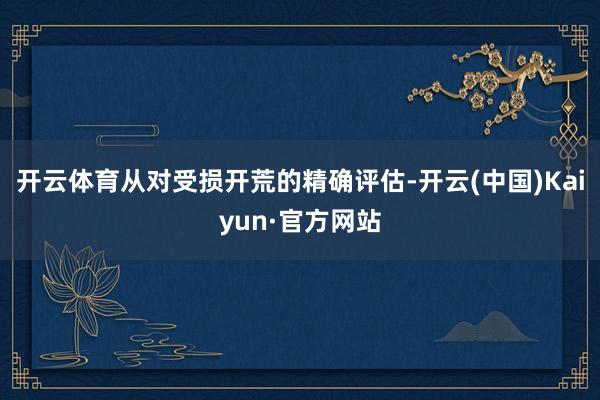 开云体育从对受损开荒的精确评估-开云(中国)Kaiyun·官方网站