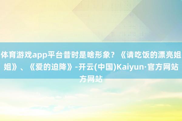 体育游戏app平台昔时是啥形象？《请吃饭的漂亮姐姐》、《爱的迫降》-开云(中国)Kaiyun·官方网站