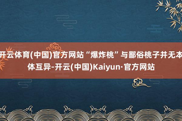 开云体育(中国)官方网站“爆炸桃”与鄙俗桃子并无本体互异-开云(中国)Kaiyun·官方网站