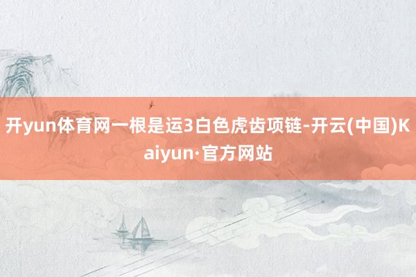 开yun体育网一根是运3白色虎齿项链-开云(中国)Kaiyun·官方网站