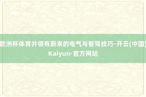 欧洲杯体育并领有蔚来的电气与智驾技巧-开云(中国)Kaiyun·官方网站