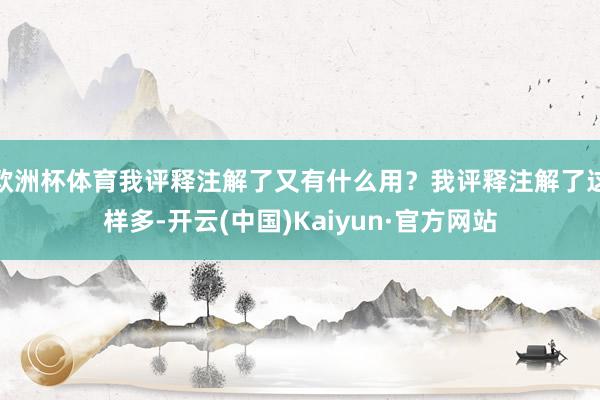 欧洲杯体育我评释注解了又有什么用？我评释注解了这样多-开云(中国)Kaiyun·官方网站