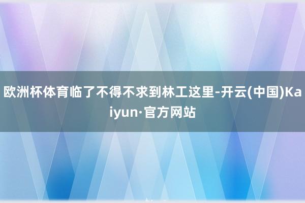 欧洲杯体育临了不得不求到林工这里-开云(中国)Kaiyun·官方网站