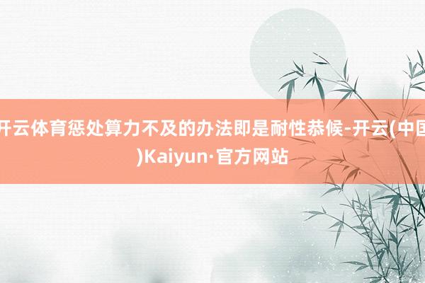 开云体育惩处算力不及的办法即是耐性恭候-开云(中国)Kaiyun·官方网站