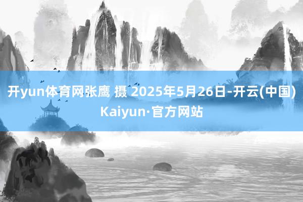 开yun体育网张鹰 摄 2025年5月26日-开云(中国)Kaiyun·官方网站