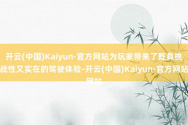 开云(中国)Kaiyun·官方网站为玩家带来了既具挑战性又实在的驾驶体验-开云(中国)Kaiyun·官方网站