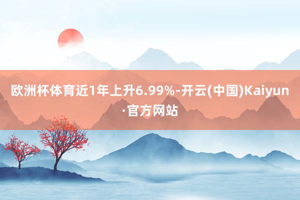 欧洲杯体育近1年上升6.99%-开云(中国)Kaiyun·官方网站