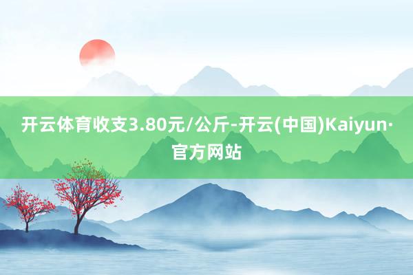 开云体育收支3.80元/公斤-开云(中国)Kaiyun·官方网站