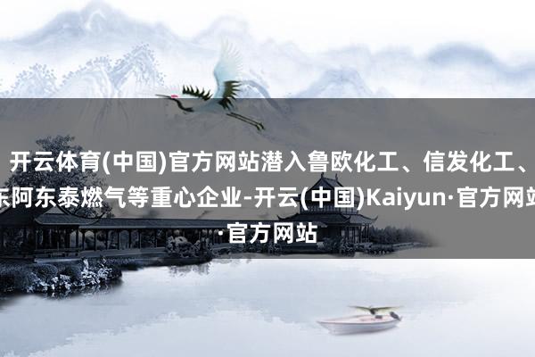 开云体育(中国)官方网站潜入鲁欧化工、信发化工、东阿东泰燃气等重心企业-开云(中国)Kaiyun·官方网站