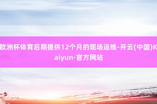 欧洲杯体育后期提供12个月的现场运维-开云(中国)Kaiyun·官方网站