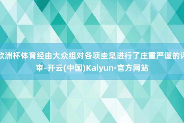 欧洲杯体育经由大众组对各项圭臬进行了庄重严谨的评审-开云(中国)Kaiyun·官方网站