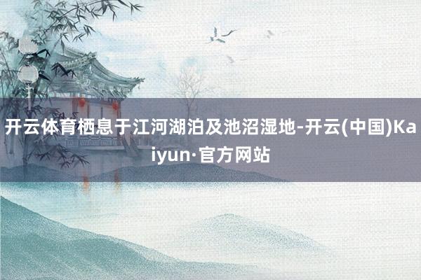 开云体育栖息于江河湖泊及池沼湿地-开云(中国)Kaiyun·官方网站