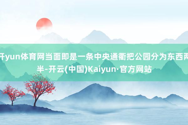 开yun体育网当面即是一条中央通衢把公园分为东西两半-开云(中国)Kaiyun·官方网站