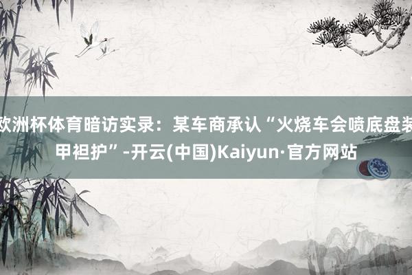 欧洲杯体育暗访实录：某车商承认“火烧车会喷底盘装甲袒护”-开云(中国)Kaiyun·官方网站