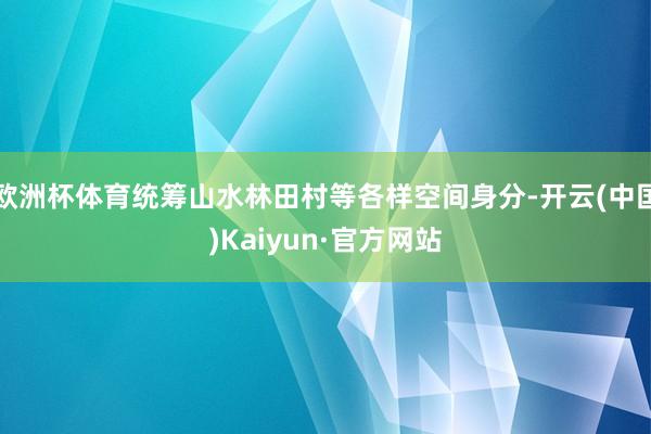 欧洲杯体育统筹山水林田村等各样空间身分-开云(中国)Kaiyun·官方网站