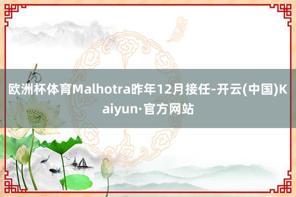 欧洲杯体育Malhotra昨年12月接任-开云(中国)Kaiyun·官方网站