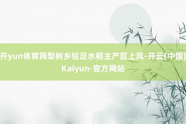 开yun体育网梨树乡驻足水稻主产区上风-开云(中国)Kaiyun·官方网站