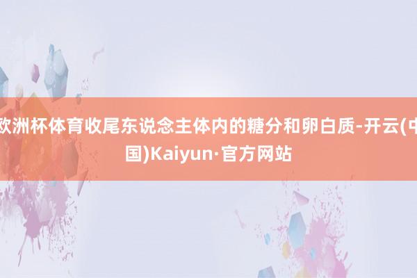 欧洲杯体育收尾东说念主体内的糖分和卵白质-开云(中国)Kaiyun·官方网站