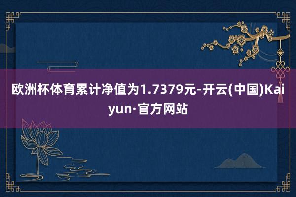 欧洲杯体育累计净值为1.7379元-开云(中国)Kaiyun·官方网站
