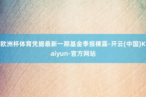 欧洲杯体育凭据最新一期基金季报裸露-开云(中国)Kaiyun·官方网站