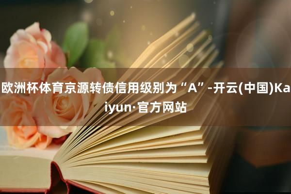 欧洲杯体育京源转债信用级别为“A”-开云(中国)Kaiyun·官方网站