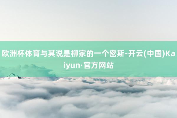 欧洲杯体育与其说是柳家的一个密斯-开云(中国)Kaiyun·官方网站