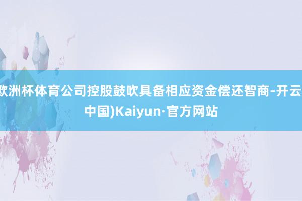 欧洲杯体育公司控股鼓吹具备相应资金偿还智商-开云(中国)Kaiyun·官方网站