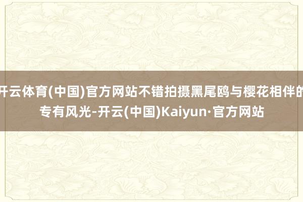 开云体育(中国)官方网站不错拍摄黑尾鸥与樱花相伴的专有风光-开云(中国)Kaiyun·官方网站