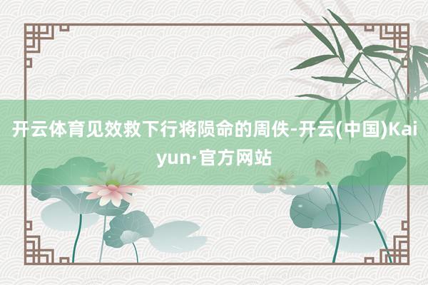开云体育见效救下行将陨命的周佚-开云(中国)Kaiyun·官方网站