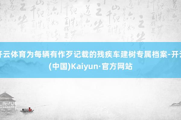 开云体育为每辆有作歹记载的残疾车建树专属档案-开云(中国)Kaiyun·官方网站