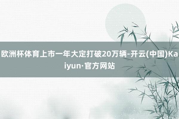欧洲杯体育上市一年大定打破20万辆-开云(中国)Kaiyun·官方网站
