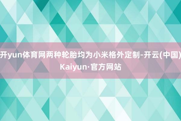 开yun体育网两种轮胎均为小米格外定制-开云(中国)Kaiyun·官方网站