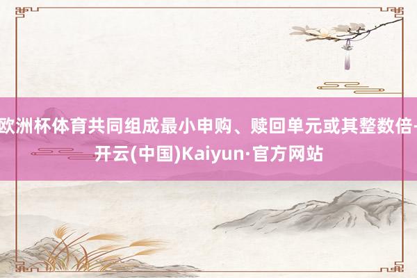 欧洲杯体育共同组成最小申购、赎回单元或其整数倍-开云(中国)Kaiyun·官方网站