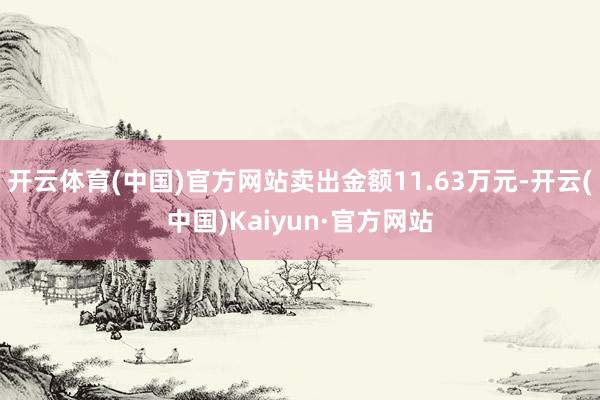 开云体育(中国)官方网站卖出金额11.63万元-开云(中国)Kaiyun·官方网站