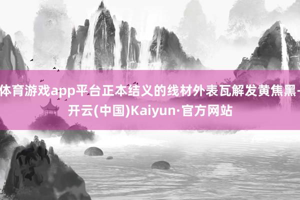 体育游戏app平台正本结义的线材外表瓦解发黄焦黑-开云(中国