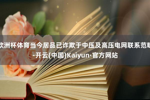 欧洲杯体育当今居品已诈欺于中压及高压电网联系范畴-开云(中国)Kaiyun·官方网站