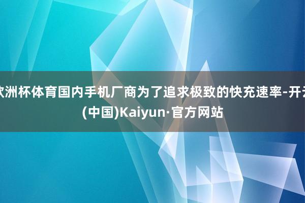 欧洲杯体育国内手机厂商为了追求极致的快充速率-开云(中国)Kaiyun·官方网站